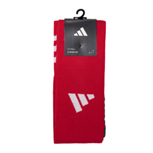 Development squad socks