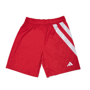 Development squad shorts